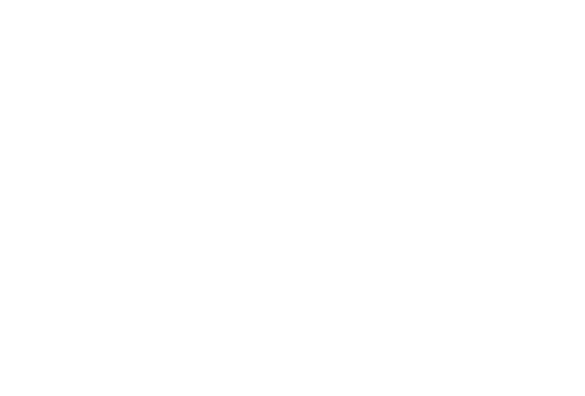 Logo Extens