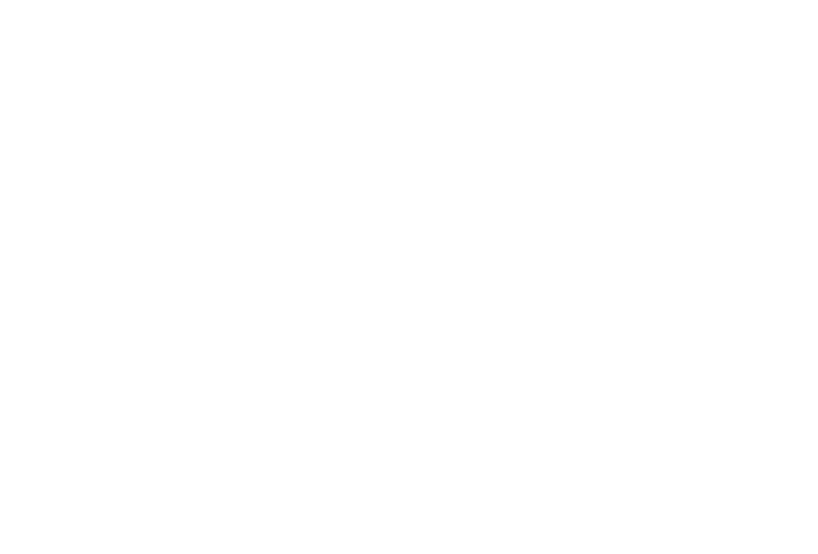 Logo Extens